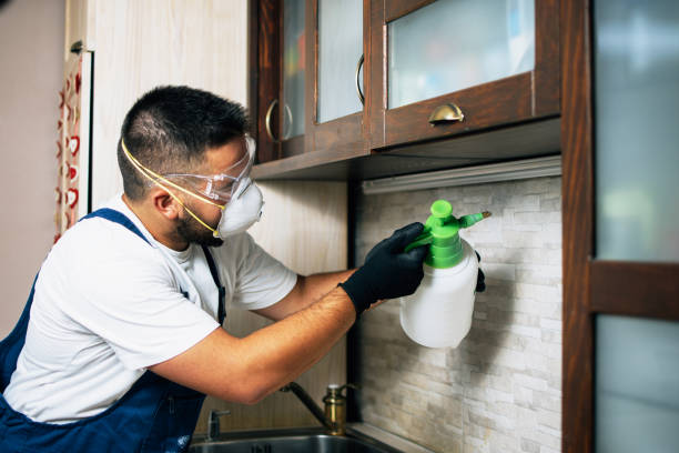 Best Commercial Pest Control Services  in Colbert, OK