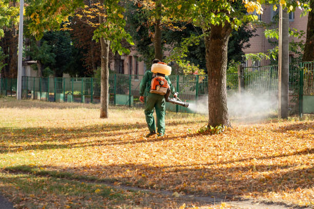 Best Bed Bug Extermination  in Colbert, OK