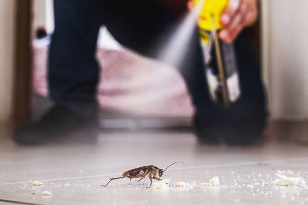 Best Mosquito Control Services  in Colbert, OK