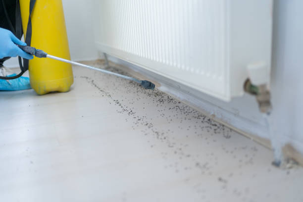 Best Emergency Pest Control  in Colbert, OK